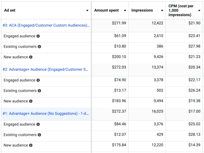 Meta Ads Test Results for Audience Expansion with Audience Segments